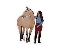 Equestrian Sticker by Marina Layton