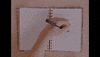 Satisfying Music Video GIF by Caroline Spence