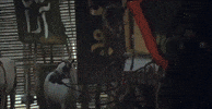 Run Fast Running Man GIF