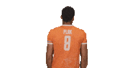 Fabian Plak Volleyball Sticker by Nevobo