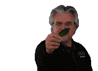 HandelskwekerijGova laurier decorum gova kwekerijgova Sticker