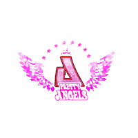 Cheer Wings Sticker by AirbornAllstars