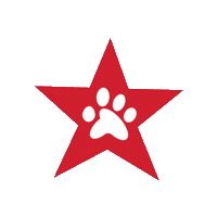Servicedogs Sticker by Freedom Service Dogs of America