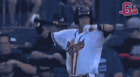 adams GIF by Gwinnett Braves