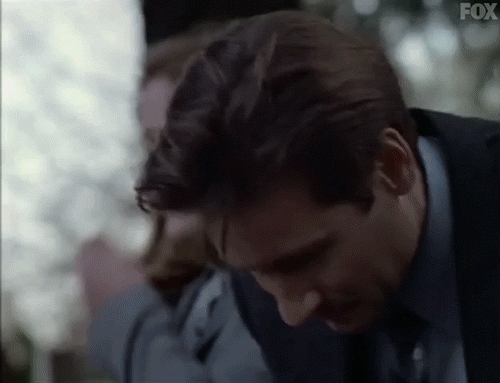 x files GIF by The X-Files