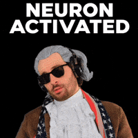 I Like Monkey GIF