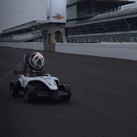 Happy Butler Basketball GIF by Butler University
