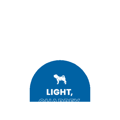 charpeyoficiall giphygifmaker kids action light Sticker