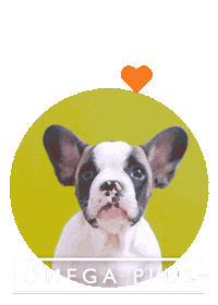omegaplus salmon petfood nzpets kingsalmon Sticker