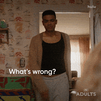 Fx Networks Comedy GIF by Adults