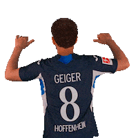 Dennis Geiger Sport Sticker by TSG Hoffenheim