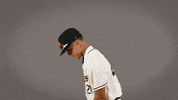 Cal State La Baseball GIF by Cal State LA Golden Eagles