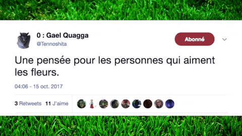 Twitter Tweet GIF