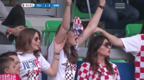 Euro 2016 Fans GIF by Sporza