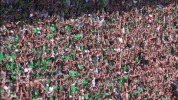 fans supporters GIF by AS Saint-Etienne