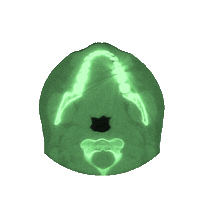 Brain Scan Cw Sticker by 4i Records