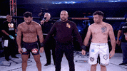 lightsoutxf sad win winner mma GIF