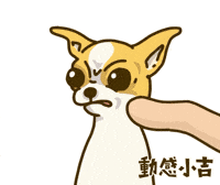 Animation Dog GIF