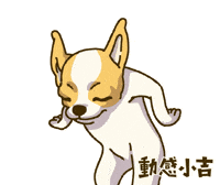 Animation Dog GIF