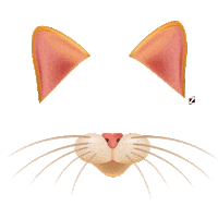 cat shoes Sticker by STZ