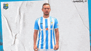 Football Tor GIF by ChemnitzerFC
