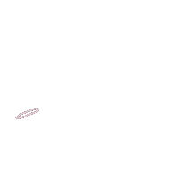 Calligraph Sticker