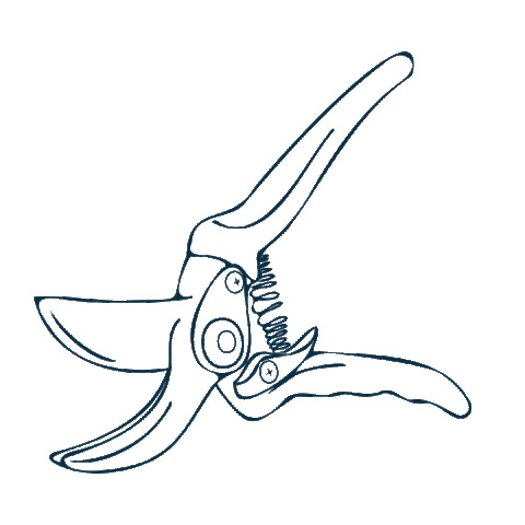 Clip Gardening Sticker by The Tree Center