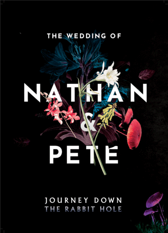 Pollencorp giphyupload nathanandpete GIF