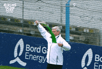 Hurling Bge GIF by Bold Studios