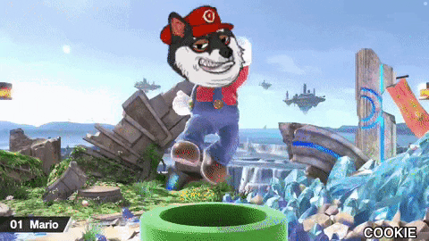 Tdp Mario Doge GIF by The Doge Pound