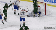 Celebrate Ice Hockey GIF by NHL