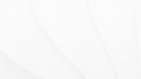 patriotmaid giphyupload GIF