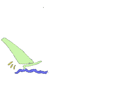 wahk giphyupload sports surf surfing Sticker