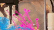 chrisleyknowsbest television usa usa network chrisley GIF