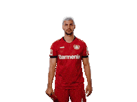 Bayer 04 Werkself Sticker by Bayer 04 Leverkusen
