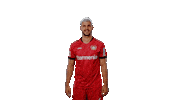 Bayer 04 Goal Sticker by Bayer 04 Leverkusen