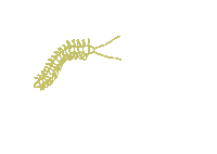 Halloween Monster Sticker by Sub Urban