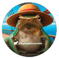 One Piece Chile Sticker by Ranita de Darwin ONG