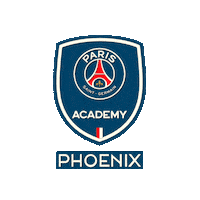 Soccer Phoenix Sticker by PSG Academy Houston