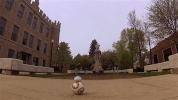 niu niuhuskies GIF by Northern Illinois University