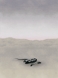 sick illustration GIF by Yi Pan