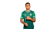Niclas Füllkrug Sticker by SV Werder Bremen