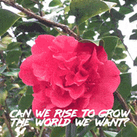 resistance yes GIF by Center for Story-based Strategy 