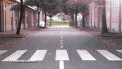 The Voice Beatles GIF by The Voice of Italy