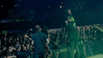 Concert GIF by Better Noise Music