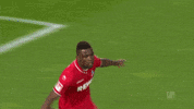1 fc cologne football GIF by 1. FC Köln
