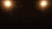 Peek A Boo Sport GIF by UFC