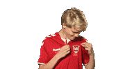 Vejle Boldklub Vb Sticker by esuperliga