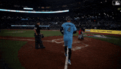 Blue Jays Baseball GIF by Toronto Blue Jays
