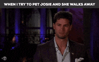 GIF by Amanda